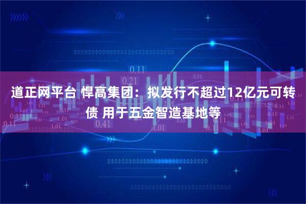 道正网平台 悍高集团：拟发行不超过12亿元可转债 用于五金智造基地等